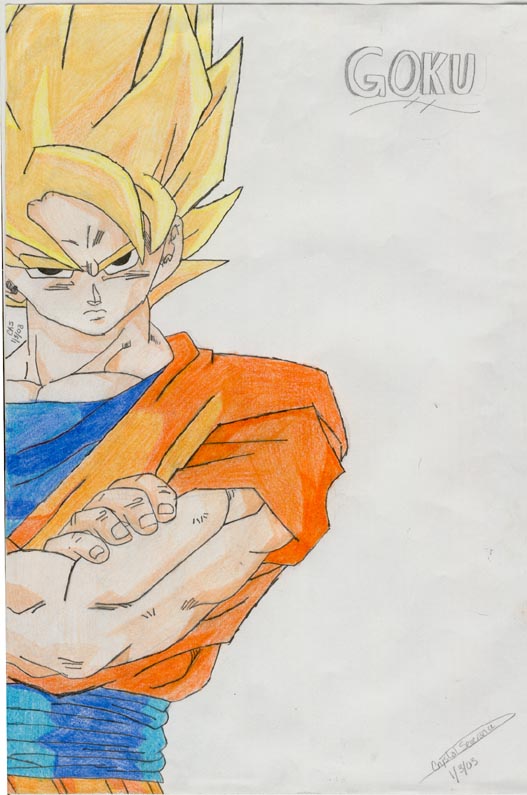 sidegoku.jpg